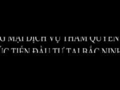 Introdução à empresa